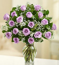 18 Premium Roses - You Choose Color Flower Power, Florist Davenport FL